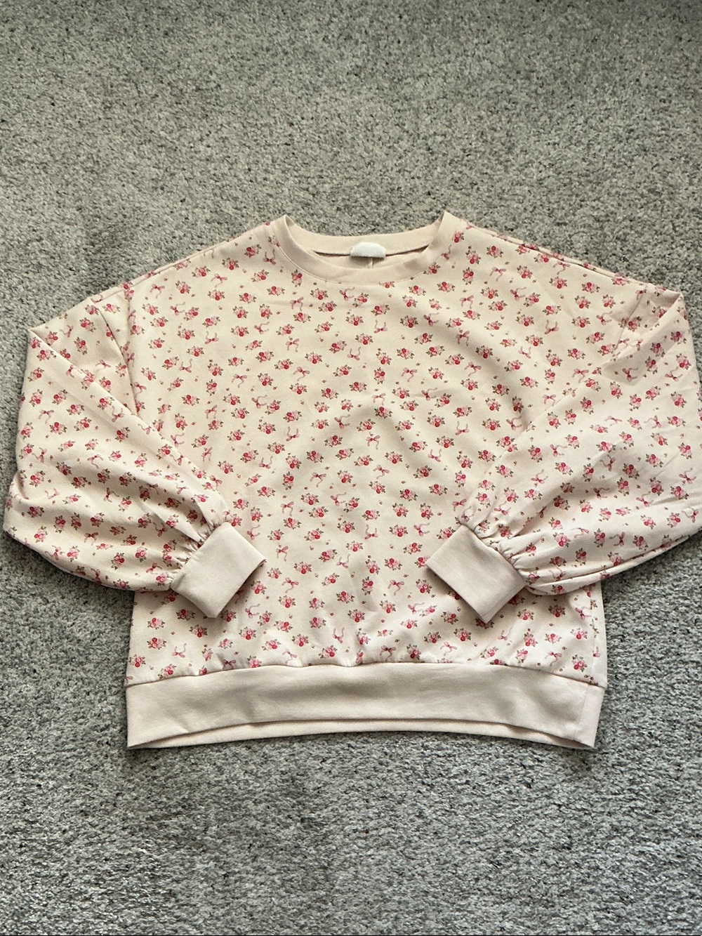 New Newin Scuba Crewneck Sweatshirt ~ Cream Floral